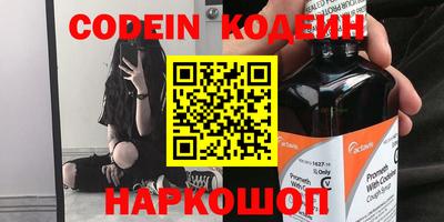 apvp Кингисепп