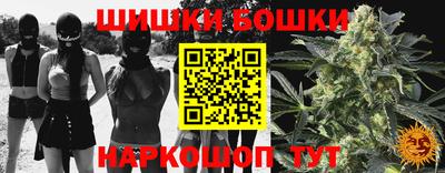 apvp Кингисепп