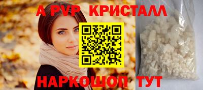 apvp Кингисепп
