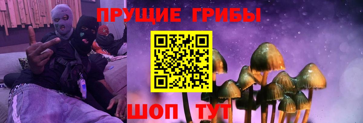 Псилоцибиновые грибы Cubensis Липецк